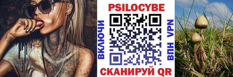 Галлюциногенные грибы GOLDEN TEACHER  Купить где  Сосновый Бор 